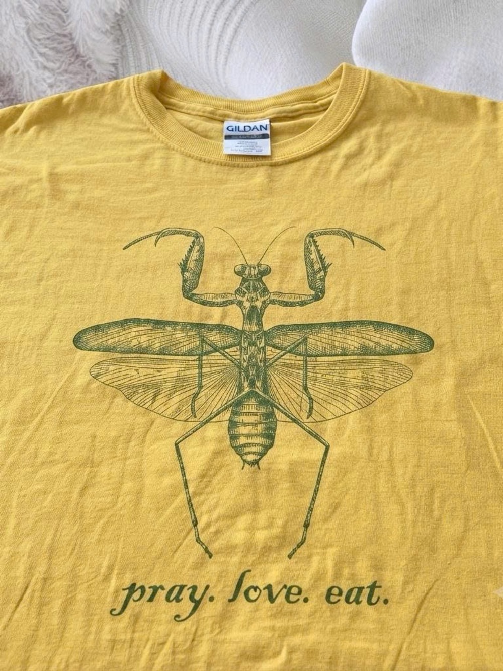 Praying Mantis Beetle Insects Graphic Gildan Tshirt Nature Bug Tee